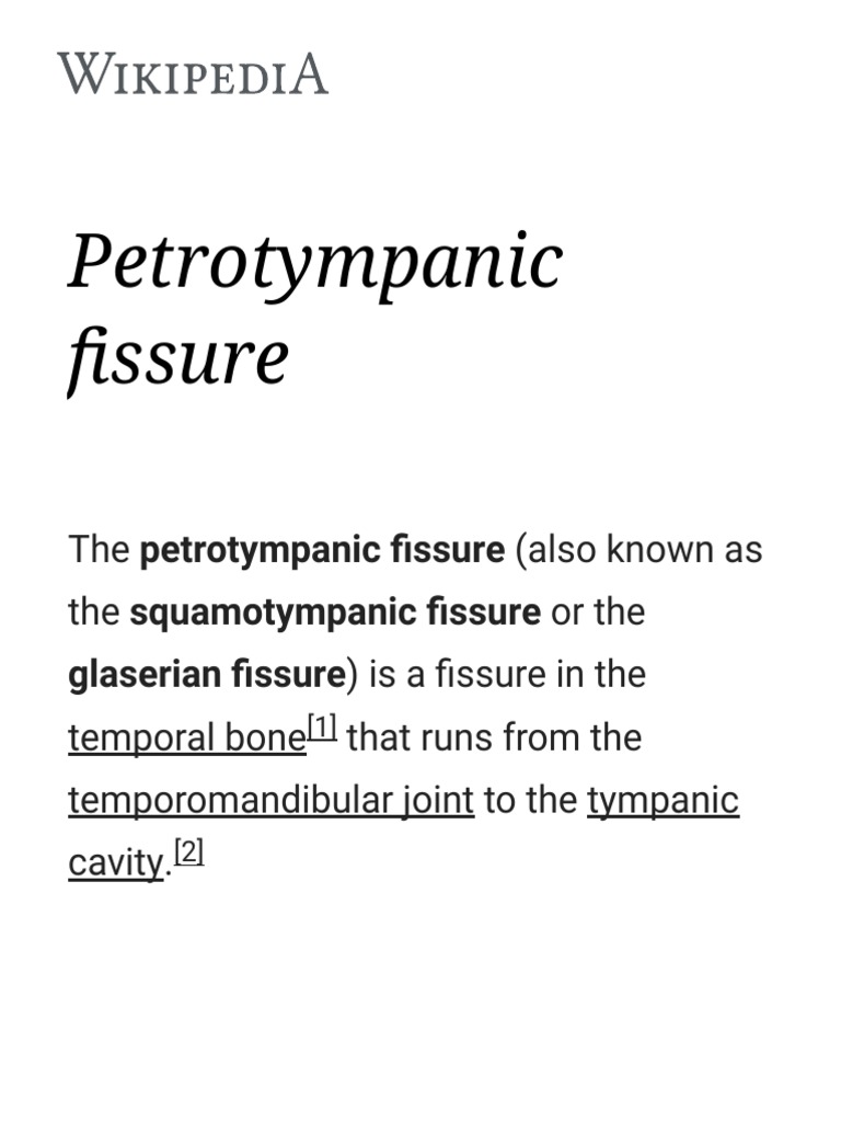 Petrotympanic Fissure PDF Human Head And Neck Skeletal System