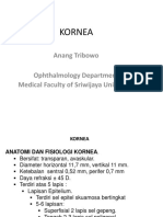 ANT - Kornea Dan Keratitis