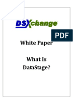 White Paper - What is DataStage