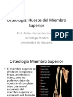 Osteología Del Miembro Superior