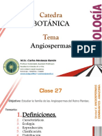Clase 27 Angiospermas Bota