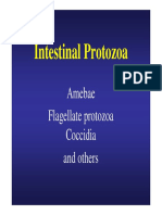 Intestinal-protozoa.pdf