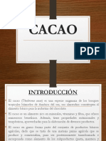 Cacao