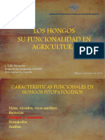 1.2 Los hongos su funcionalidad en agricultura (Tello).pdf