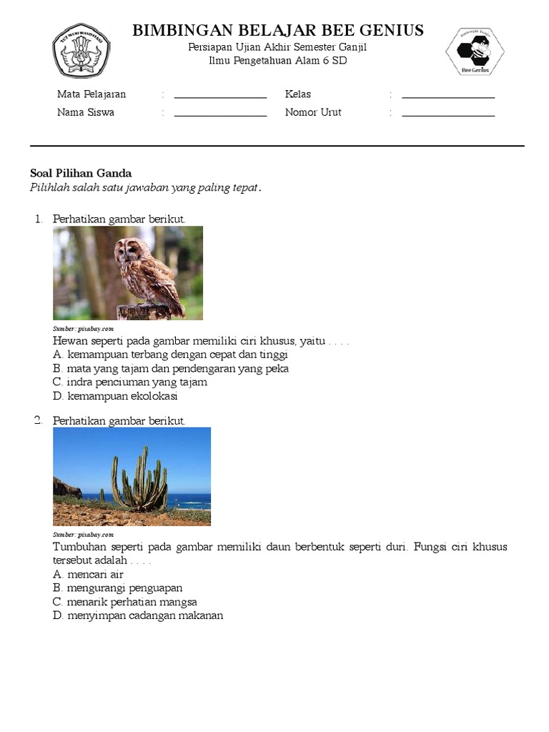 750+ Gambar Hewan Dan Tumbuhan Yang Memiliki Ciri Khusus HD Terbaru