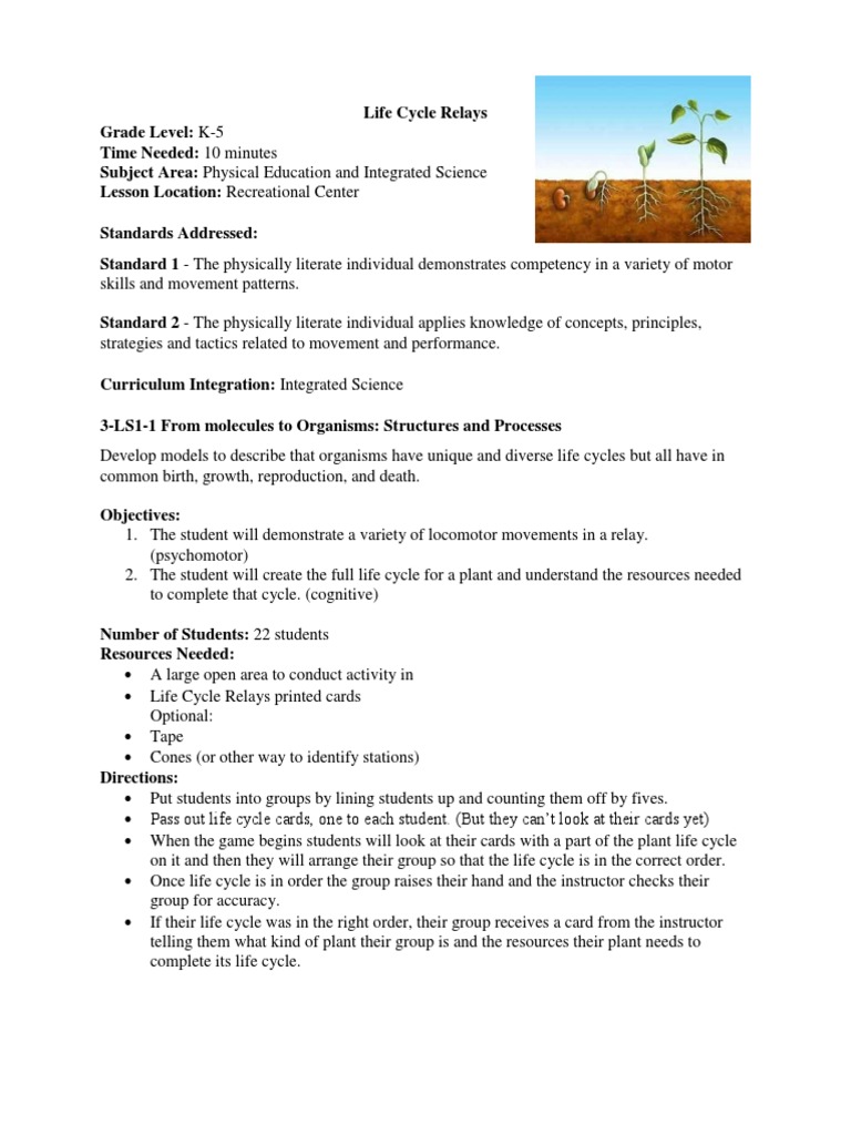 Pe Life Cycle Relays PDF Plants Physical Education