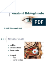 Anatomi mata.pptx