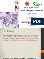 Laporan Kasus AML Dengan Anemia (Presentasi)