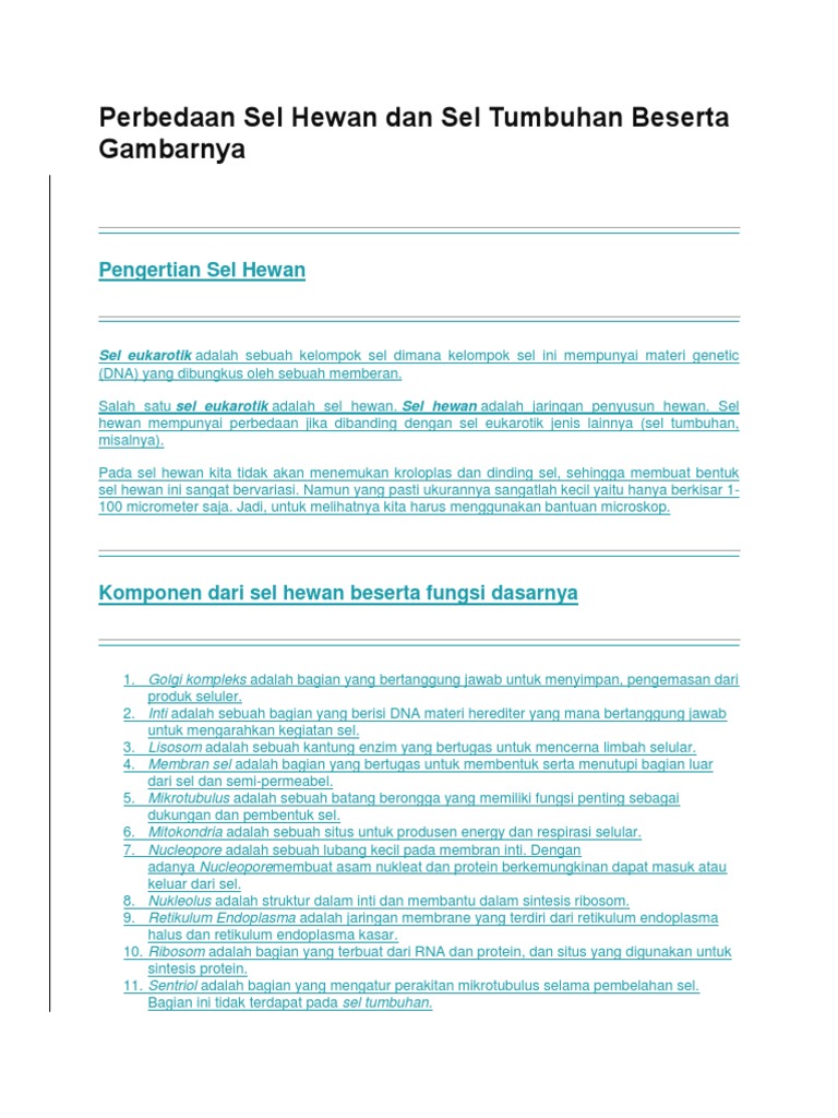 Perbedaan Sel Hewan Dan Sel Tumbuhan Beserta Gambarnya Perbedaan Sel Hewan Dan Sel Tumbuhan Beserta Gambarnya