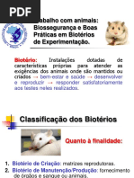 Bio-trabalho Com Animais