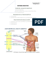 Fisiología Bloque 6. Digestivo (T. 23 - 25)