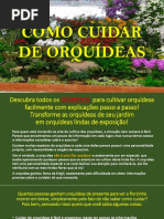 Como Cuidar de Orquídeas Passo a Passo