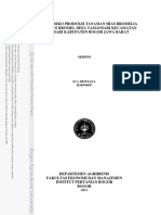 File Bromelia PDF