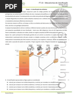 FT 13 - Mecanismos de Classificação