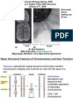 Mol Bio Lecture 3-Spring 2009-Post