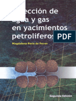 Paris, M. - Inyeccion de Agua y Gas en Yacimientos Petroliferos.pdf