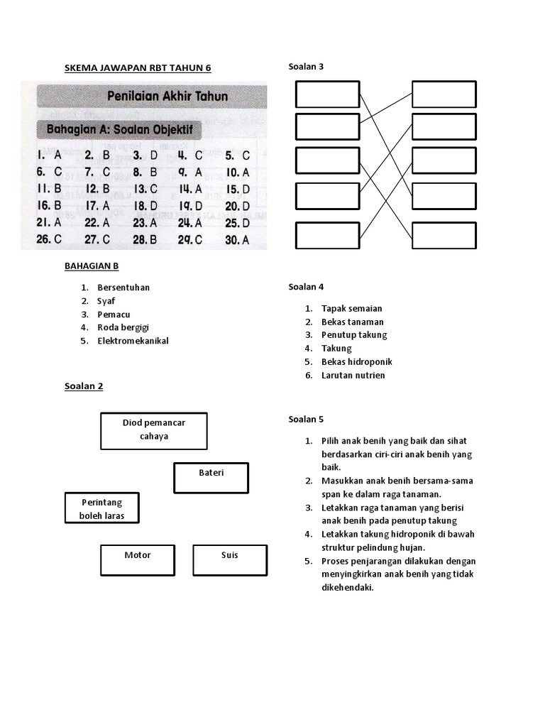 Skema Jawapan Rbt Tahun 6 Pdf