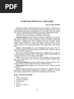 Nöroloji Tıp Ders Notları | PDF