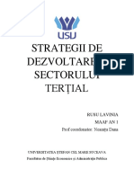 Strategii de Dezvoltare A Sectorului Terțial