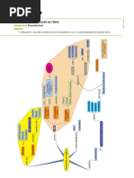9. Relacionar o equilíbrio dinâmico dos ecossistemas com a sustentabilidade do planeta Terra