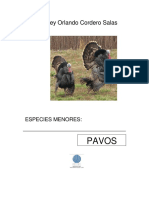 Modulo pavos resumido.pdf