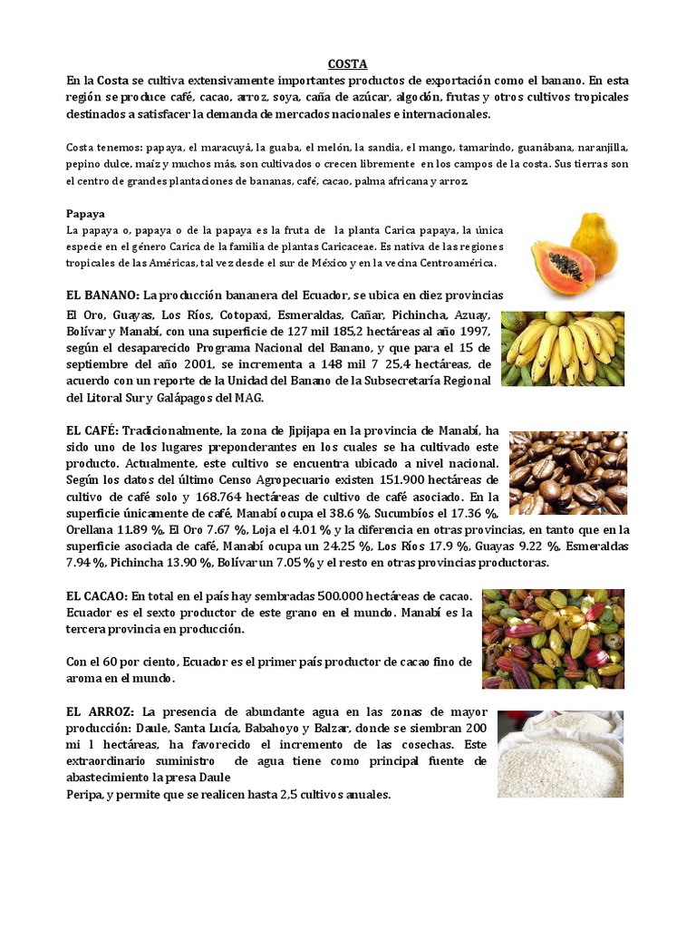 Alimentos De La Costa Sierra Oriente Cocina Vegana Agricultura