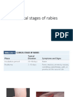 Clinical Stages of Rabies