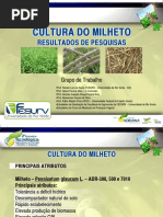 Cultura do milheto