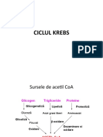 Ciclul krebs.pptx