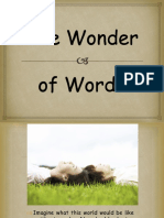 Wonder of Words