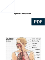 Aparatul respirator.pdf