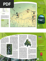 Buceoambiental Pdf Esponja Contaminacion