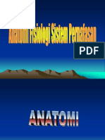 anatomi-fisiologi-sistemc2a0pernafasan1.ppt