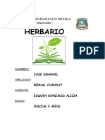 HERBARIO.docx