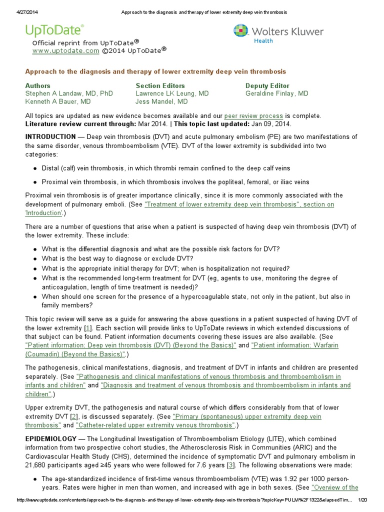 Approach To The Diagnosis and Therapy of Lower Extremity Deep Vein ...