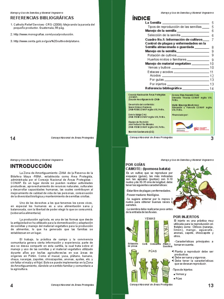 Manejo y Reproducción de Semillas | PDF | Siembra | Fruta