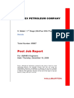 Post Job Report: Aminex Petroleum Company