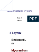 Cardiovascular System Power Point