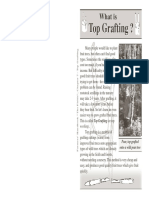 7_top_grafting.pdf