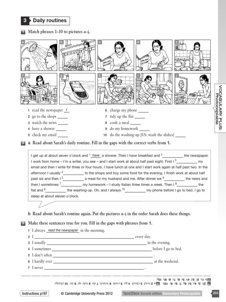 3 Daily Routines | PDF | Meal | Lunch