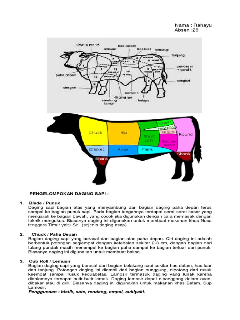 Bagian Sapi | PDF