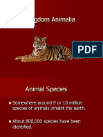 Kingdom Animalia