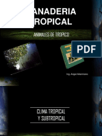 Ganaderia Tropical