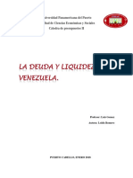 Ensayo de Presupuestos II de La Iliquiedez y Economia Publica de Venezuela