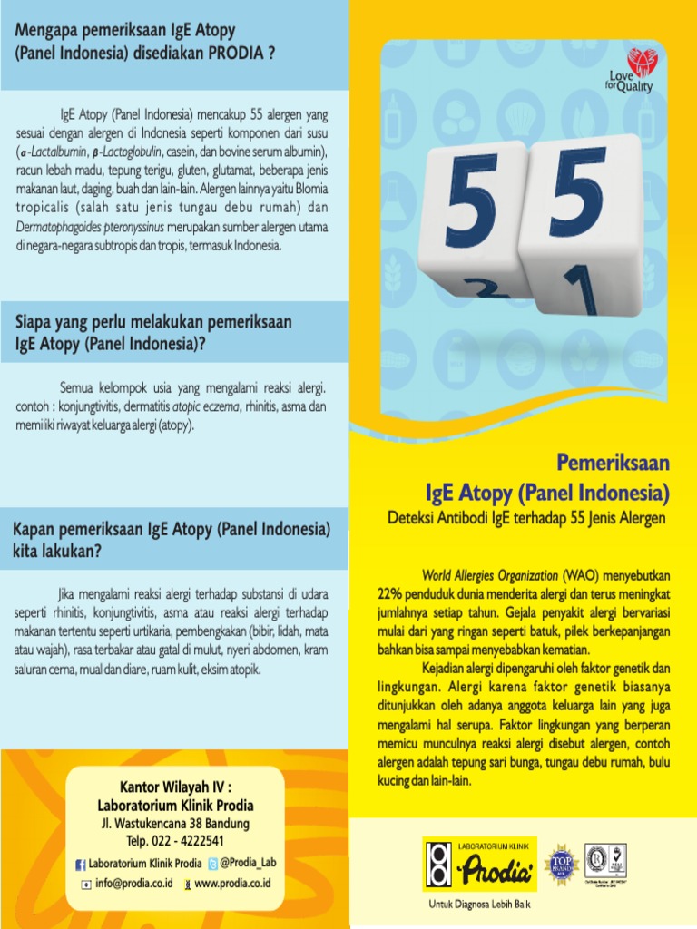 Pemeriksaan IgE Atopy Panel Indonesia | PDF