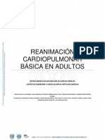 Reanimacion Cardiopulmonar Básica