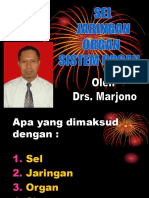 Sel, Jaringan, Organ Dan Sistem Organ