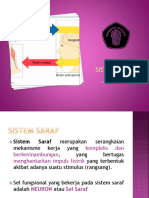 SISTEM-SARAF Q PDF