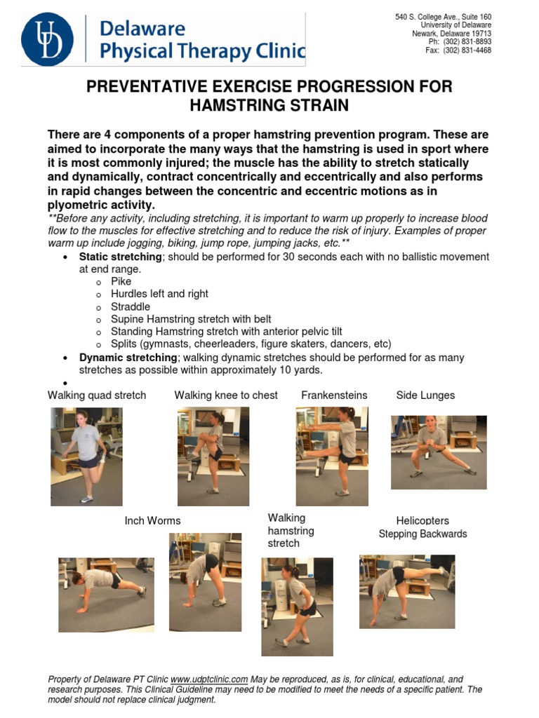 Hamstring Strain Exercise Guide | PDF | Anatomical Terms Of Motion ...