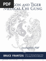 Download Dragon and Tiger by Ian Iversen  SN36943134 doc pdf